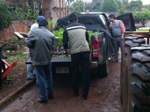 Entrega De Plantines Nativos Por Parte De La Infona, Los Cuales Serán Plantados En El ...