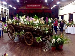 Acto Inauguración De La 4Ta. Expo Venta De Orquideas En El Salón Armonia Representó A ...