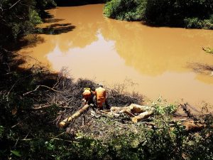 Siguen Los Arduos Trabajo De Búsqueda, Presencia Y Disposición De Todo El Personal Municipal De ...