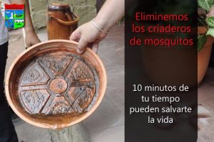 Buen Día. Aprovechemos Estos Días Para Combatir Todos Juntos Al Mosquito Que Está Causando Estragos. ...