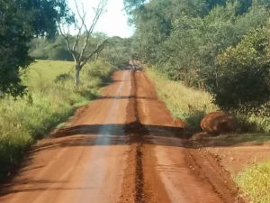 Mantenimiento De Caminos Zonas Campo Angel Y Hohenau 5