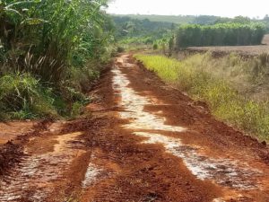 Mantenimiento De Caminos Zonas Rurales Y Límites Con Los Distritos De La Paz Y Spp