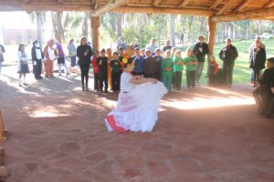 El Día 19 De Junio Se Conmemoro El Día Del Árbol.