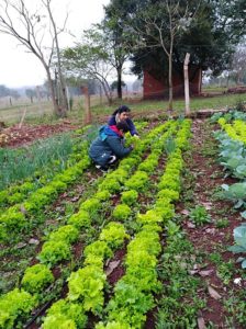 Cuando Las Cosas Son Hechas Con Amor Y Responsabilidad Se Notan Los Frutos