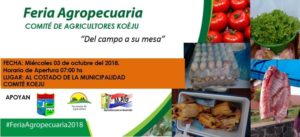 Feria Agropecuaria Al Costado De La Municipalidad🥕🥦