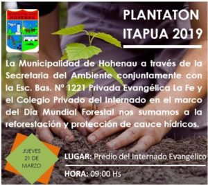 #plantatonitapua2019